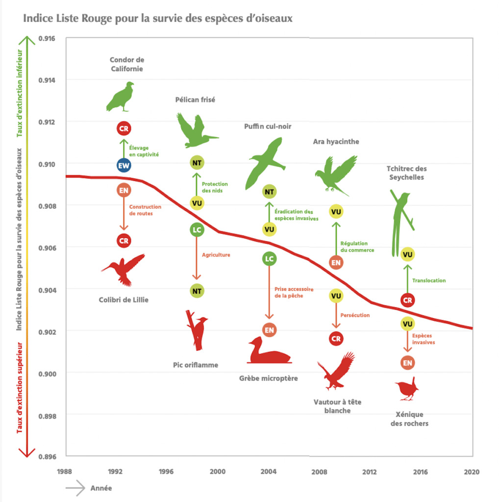 EBRA en Détresse : Une Gestion Financière en Déclin à l’Avant-Poste des Élections Municipales