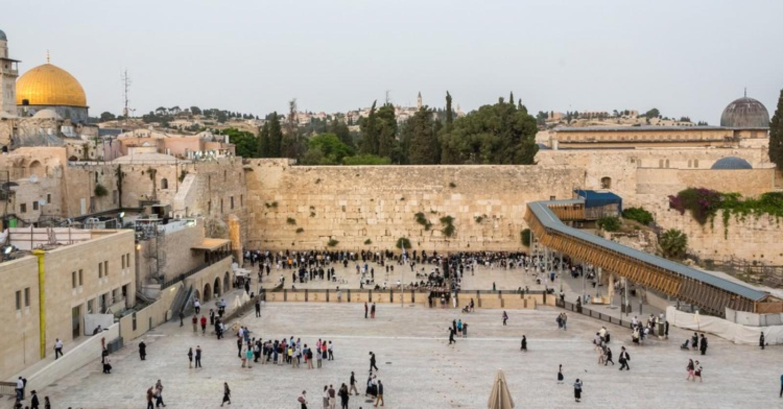 Le Paradoxe des Martyrs : Entre Haine et Sacrifice Volontaire