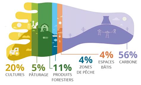 L’Enfant à Naître, Pas un Élément de Calcul Écologique